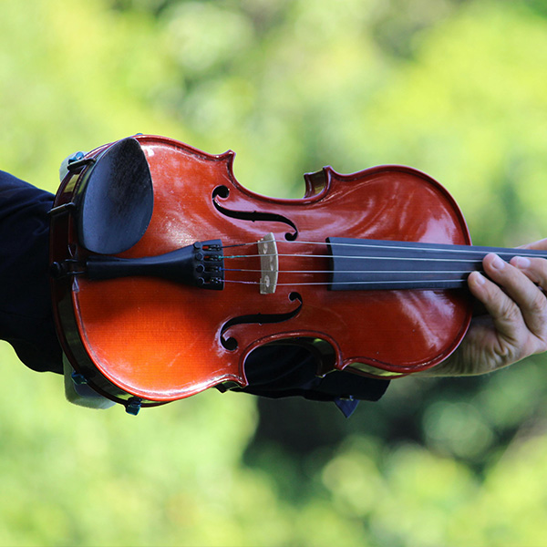 Violin & Viola